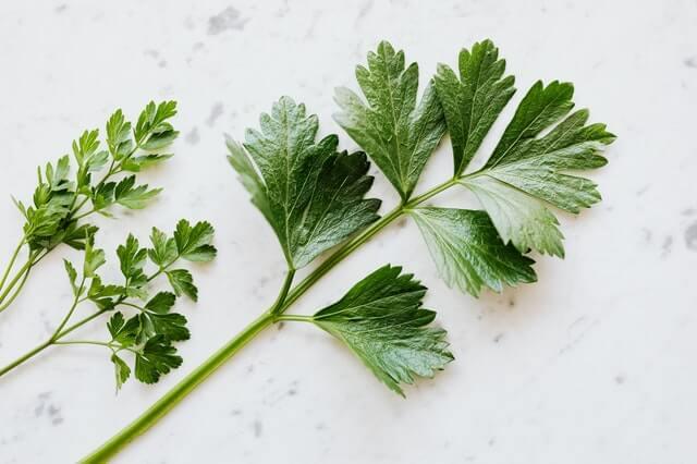 learn about the health benefits of parsley